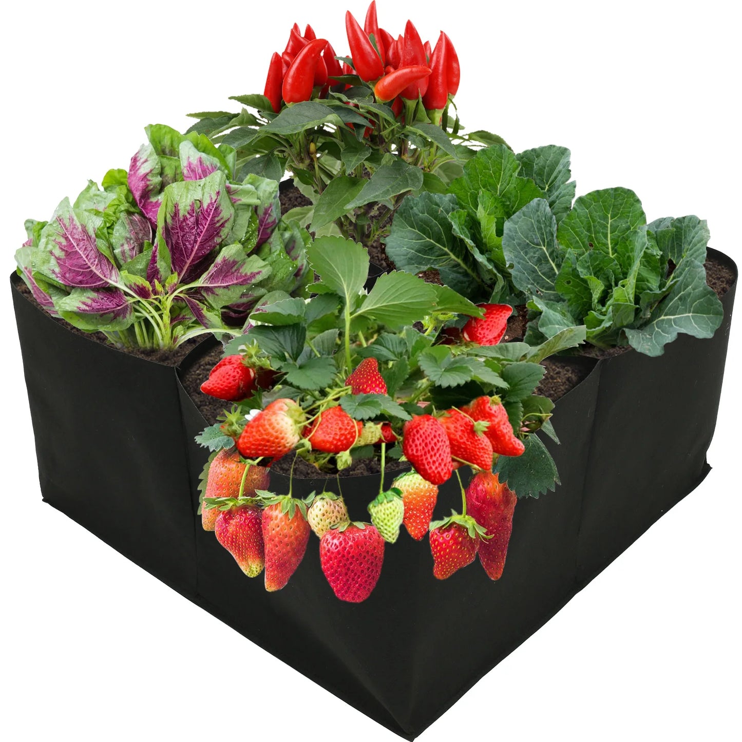 Fabric Raised Garden Bed - Small