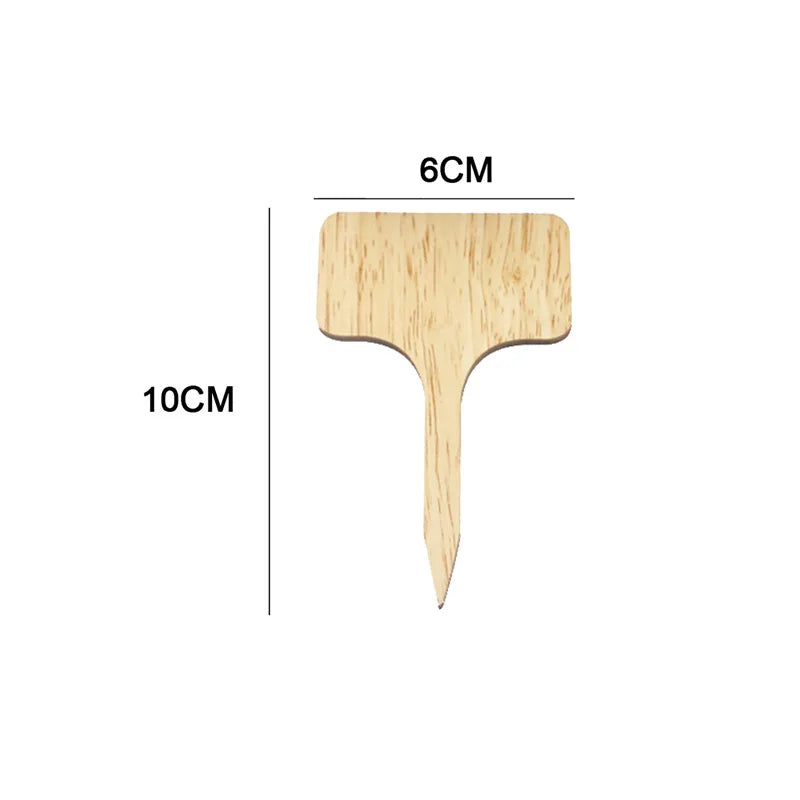 Bamboo Plant Label With Dimensions