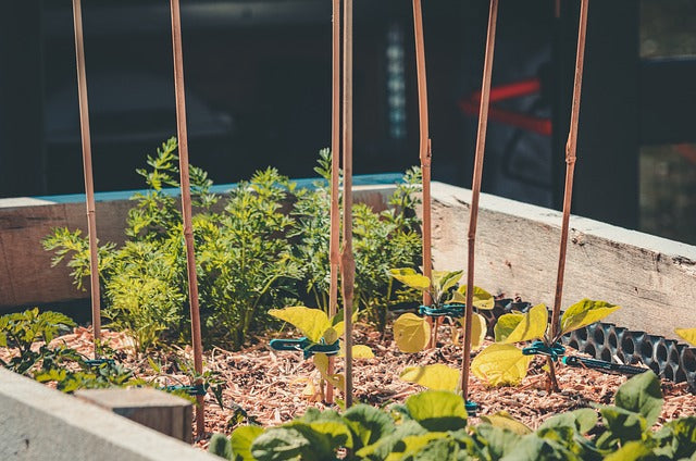 Raised Garden Bed