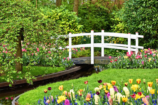 Garden with bridge 