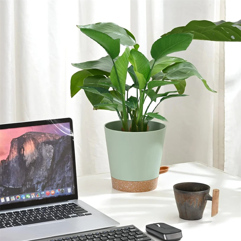 Self Watering Pots 3 Piece - Indoors 