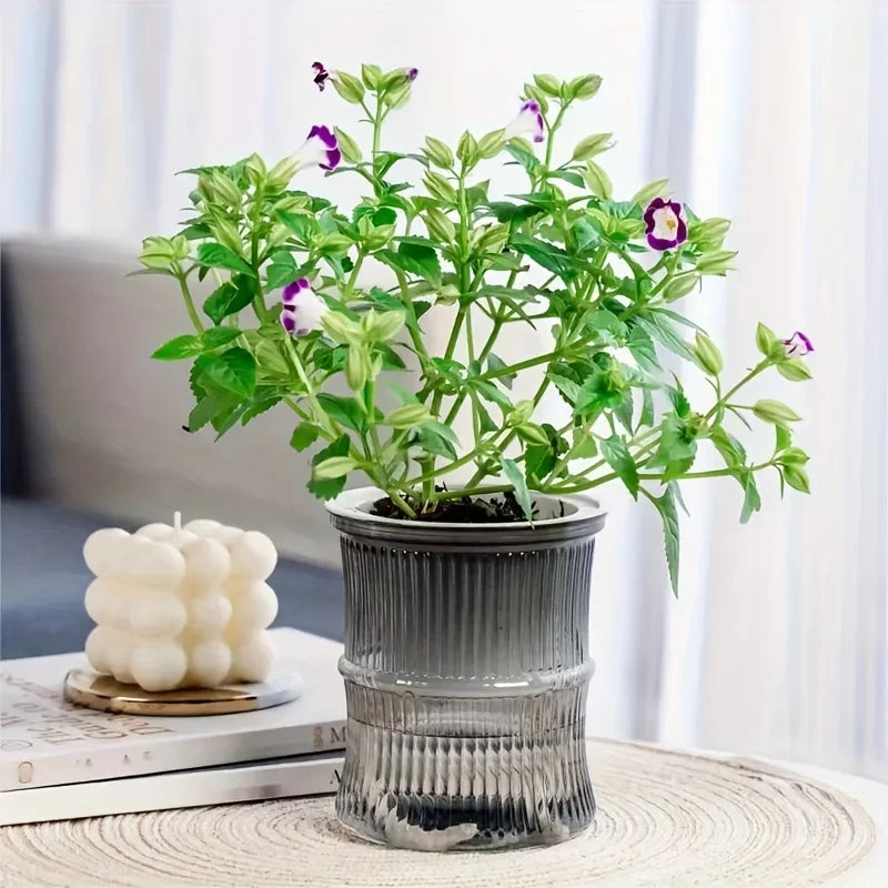 Self Watering Vase Black