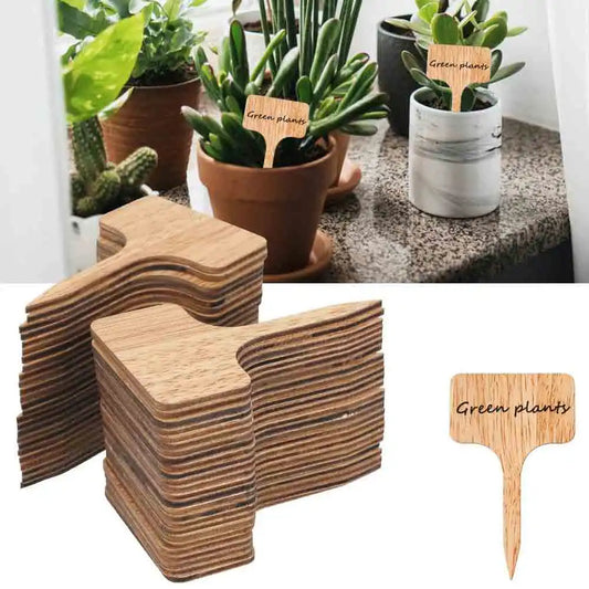 Bamboo Plant Labels 