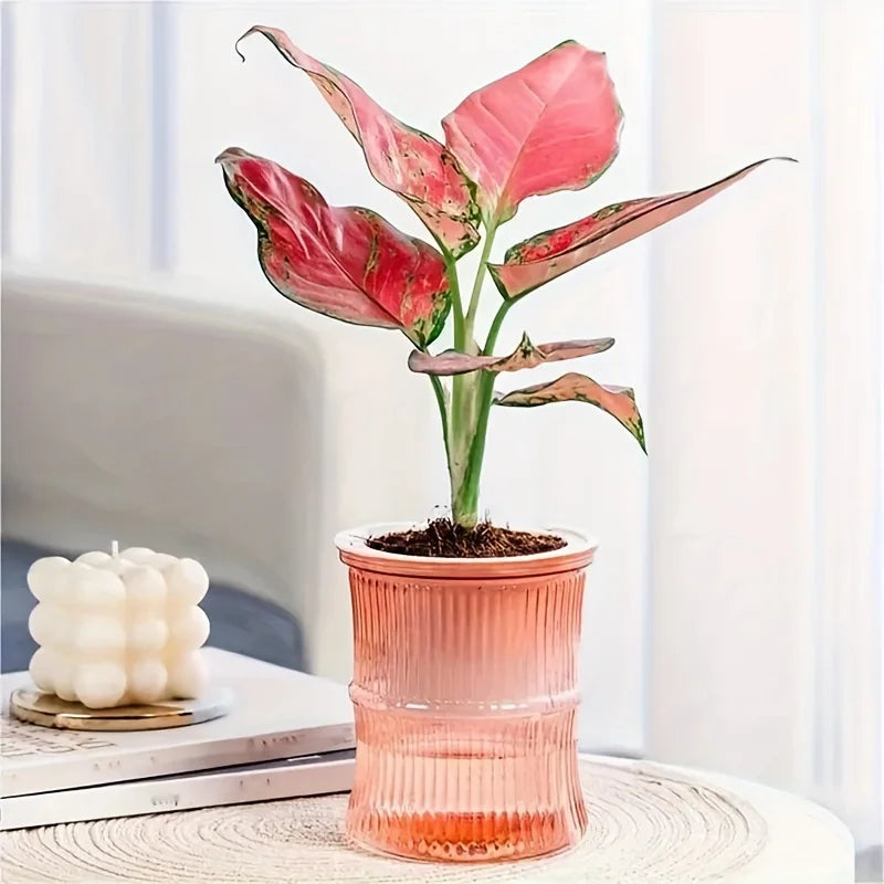 Self Watering Vase - Red