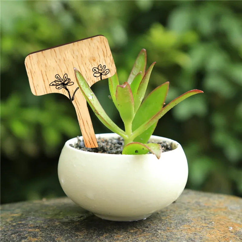 Bamboo Plant Label In Pot